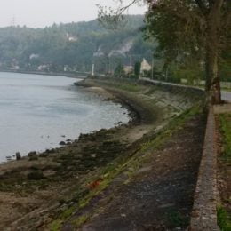 L’entretien des berges de la Seine est achevé!