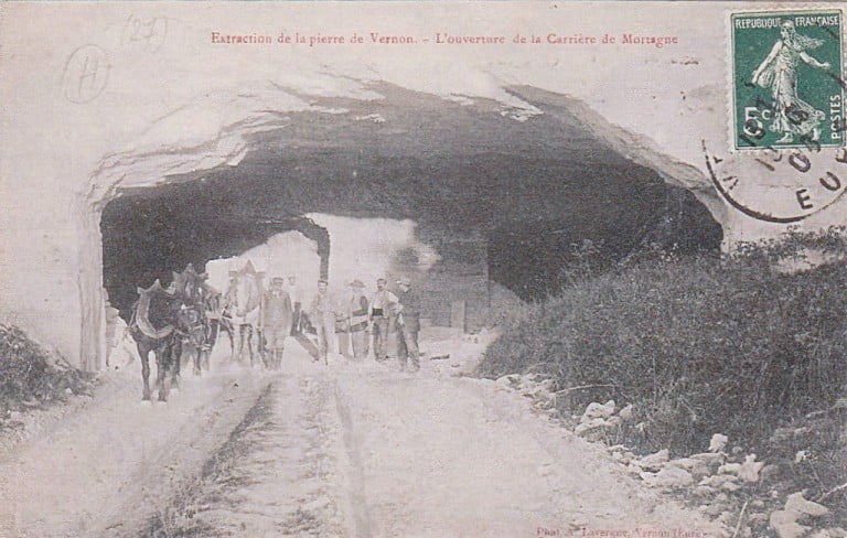 Minaudière ronde à imprimé python - Noir