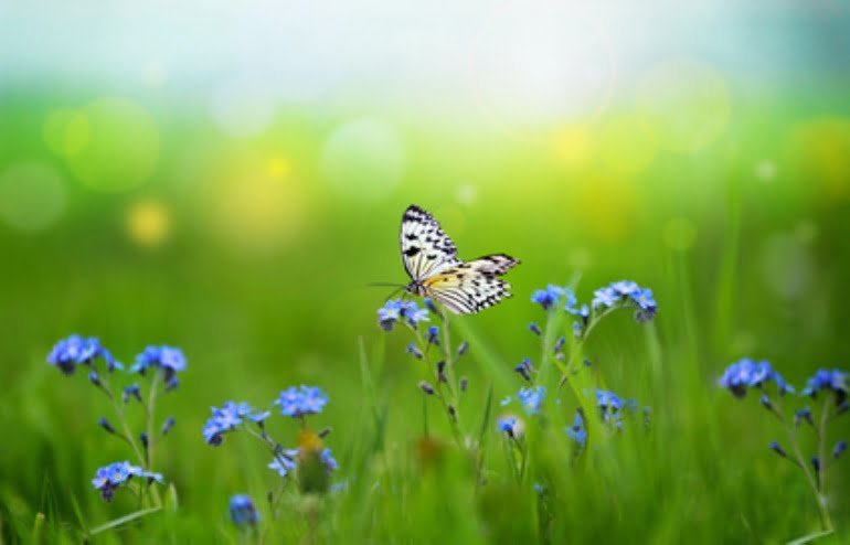 Tourisme et hébergement