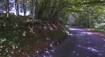 Le bois de Mauny