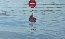 Mobilisation préventive des forces de sécurité civile et de secours en cas de fort débordement de la Seine