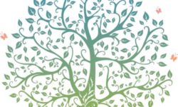 Cérémonie des plantations des arbres de naissance le samedi 20 janvier 2018 à 16h30