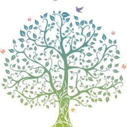 Cérémonie des plantations des arbres de naissance le samedi 20 janvier 2018 à 16h30