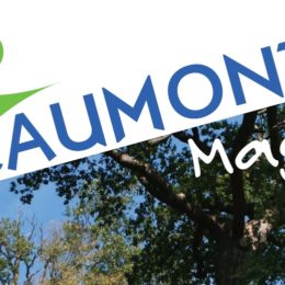 Caumont-Mag mars 2019