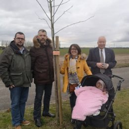 2ème cérémonie de plantation des arbres de naissance