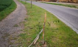 Un arbre de naissance cassé!