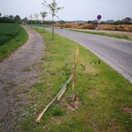 Un arbre de naissance cassé!
