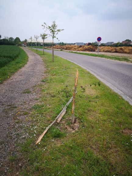 Un arbre de naissance cassé!