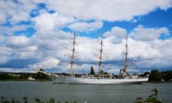 Retour sur la Grande Parade de l’Armada 2019