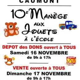 10ème manège aux jouets les 16 et 17 novembre 2019