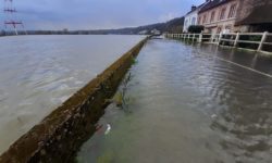 Que faire en cas de crue de la Seine?