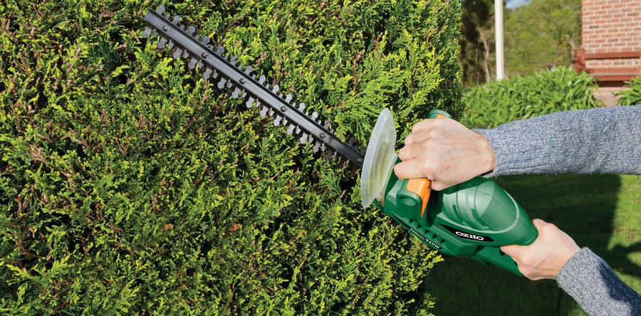 Tailles des haies et réglementation