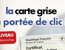 Carte grise
