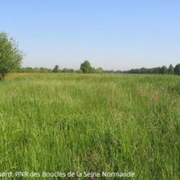 Participez à l’Atlas de la biodiversité communale
