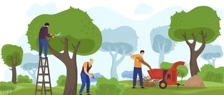 Arrêté municipal Elagage et recépage des plantations