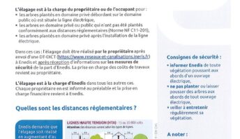 Elagage sous les lignes hautes tension