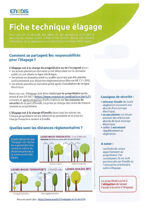 Elagage sous les lignes hautes tension